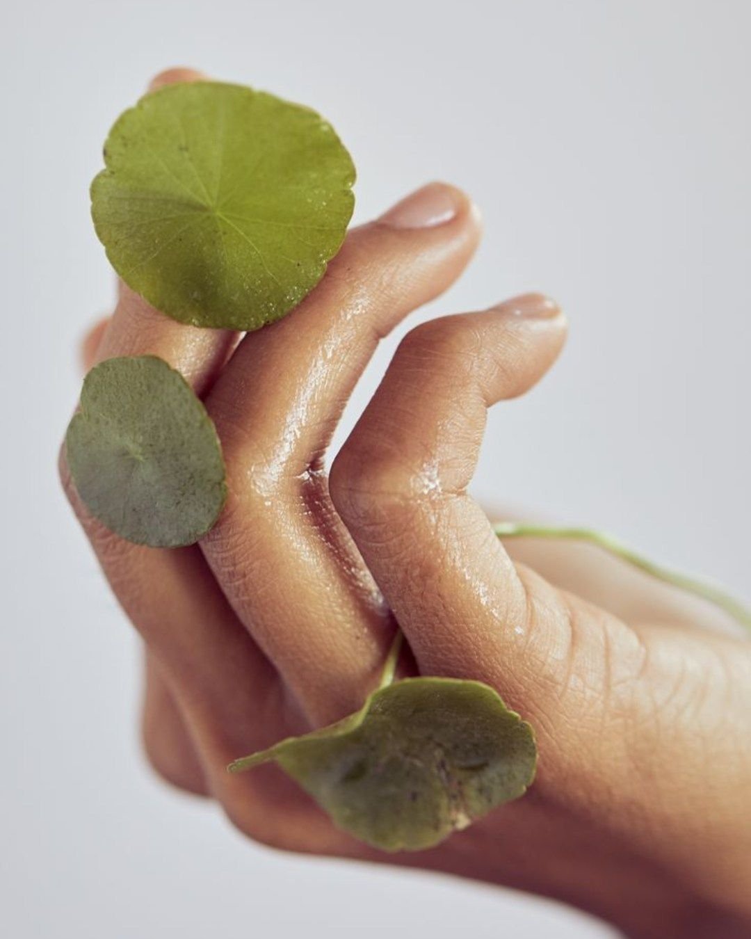 CICA (Centella Asiatica)
